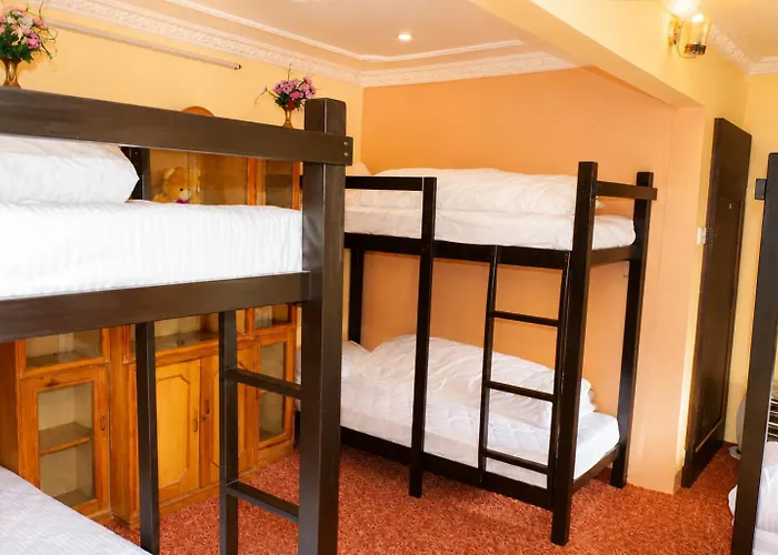 Birds Nest Hostel *