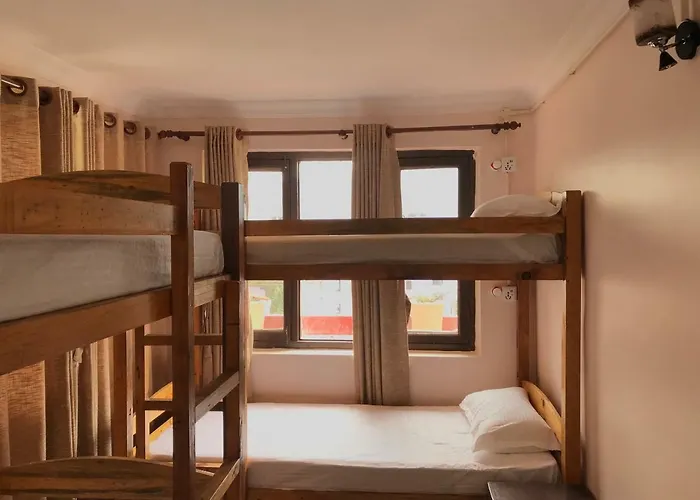 Birds Nest Hostel *