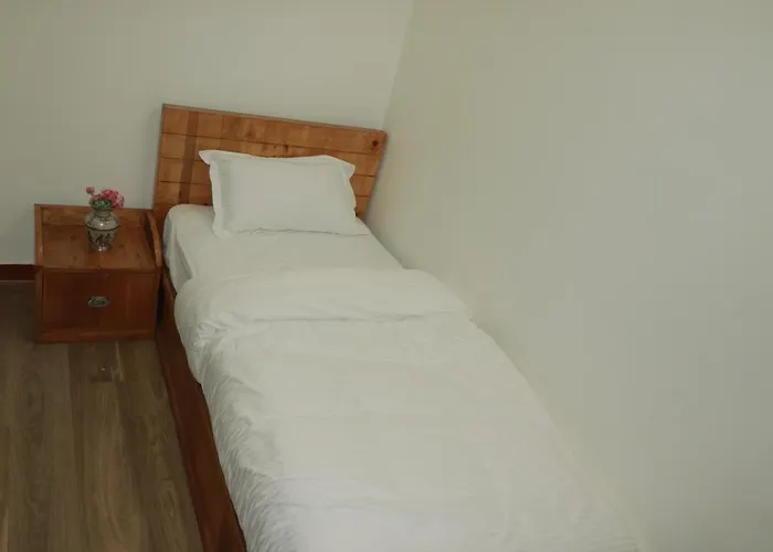 Birds Nest Hostel